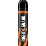 اسپری ضد تعریق مردانه Sport رایت گارد 250ml
