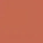 رژگونه پودری شیگلم مدل DIVINE FLUSH رنگ GOOD VIBES - Image 4