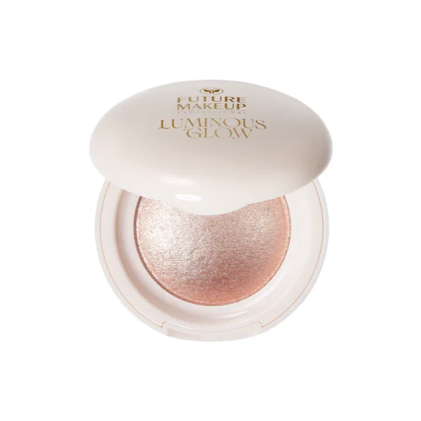 هایلایتر فیوچر میکاپ FU6202 مدل Lumious Glow