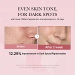 تونر تسکین دهنده و روشن کننده سیکا مدی کیوب Medicube Pdrn Pink Cica Soothing Toner - Image 2